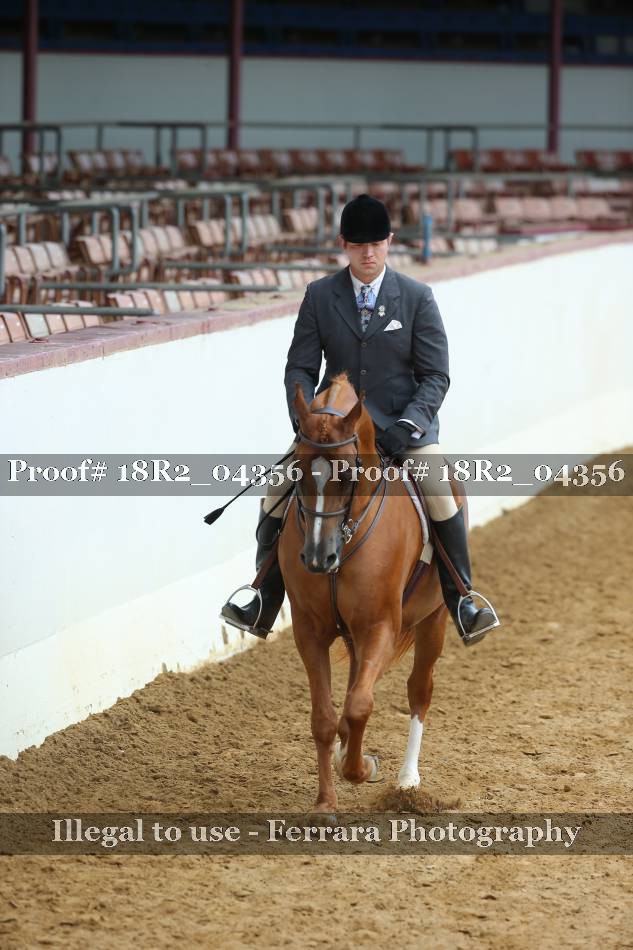 Proof 18R2_04356
