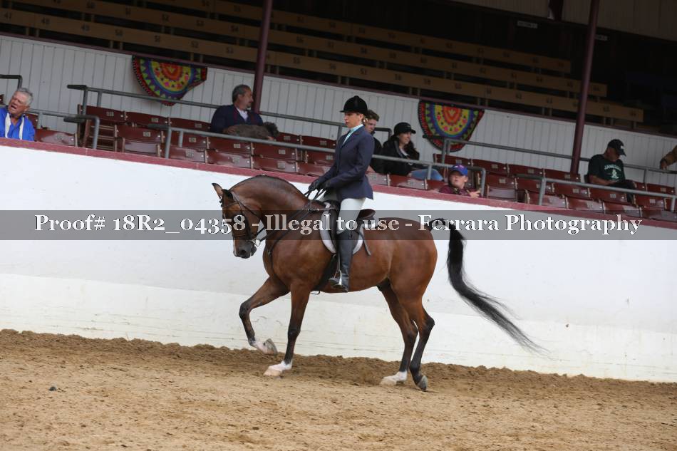 Proof 18R2_04358