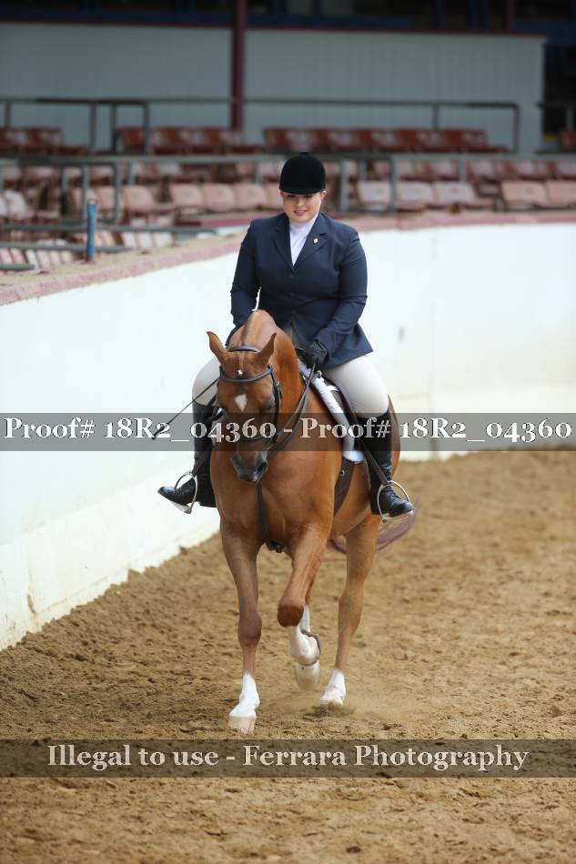 Proof 18R2_04360