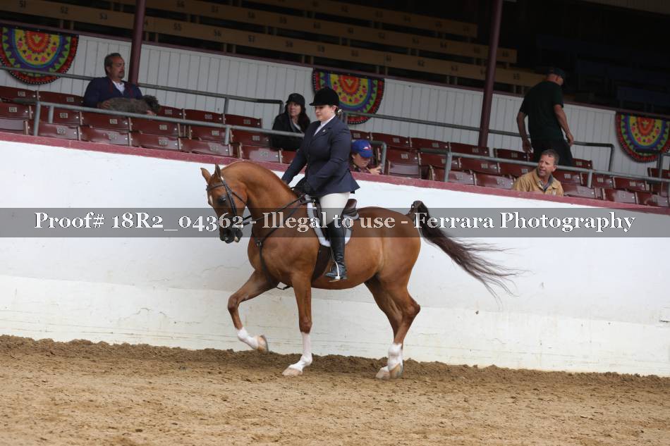 Proof 18R2_04362