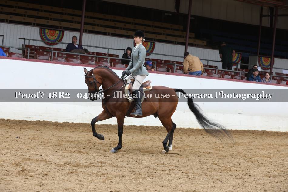 Proof 18R2_04363