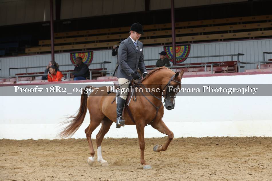 Proof 18R2_04367