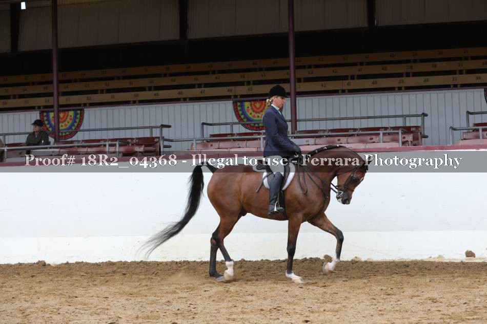 Proof 18R2_04368