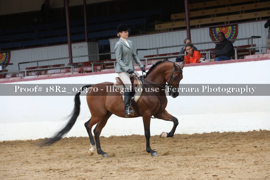 Proof 18R2_04370