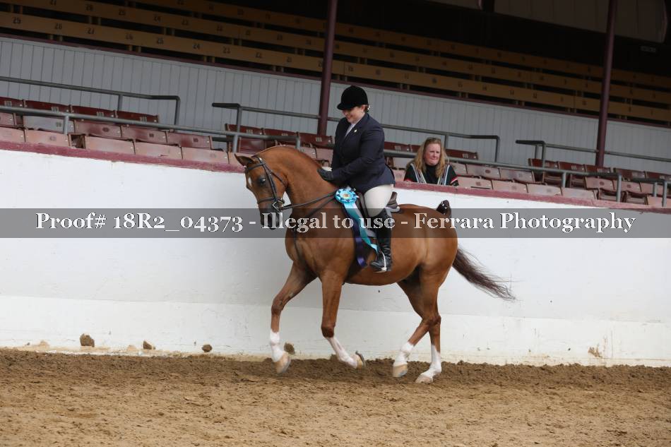Proof 18R2_04373