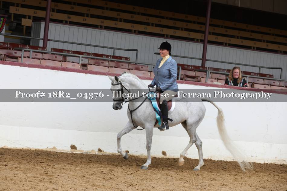 Proof 18R2_04376