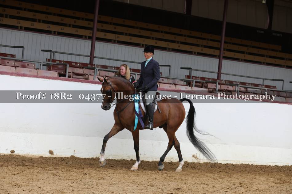 Proof 18R2_04377