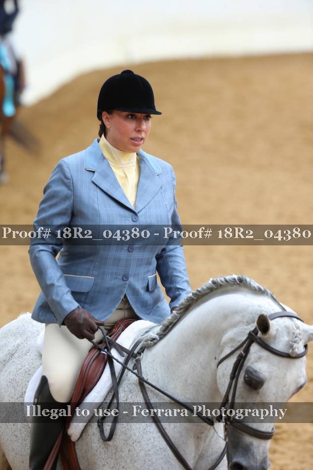 Proof 18R2_04380