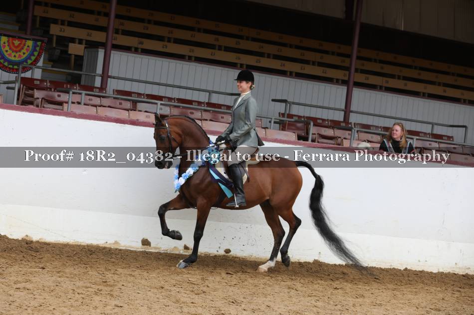 Proof 18R2_04382