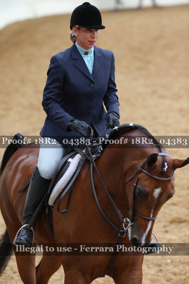 Proof 18R2_04383