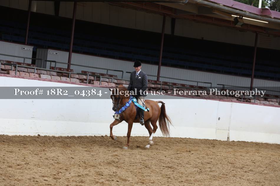 Proof 18R2_04384
