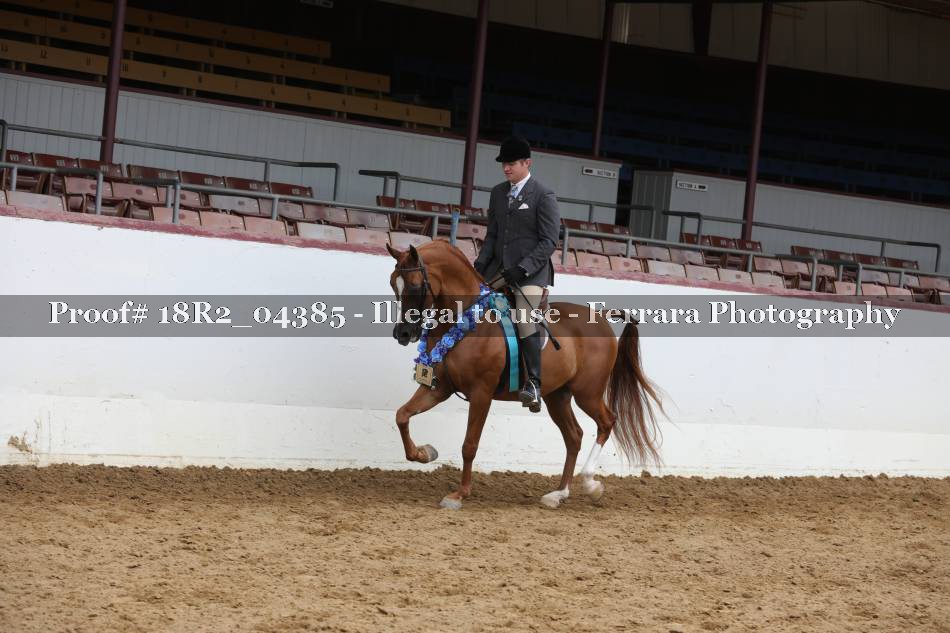 Proof 18R2_04385