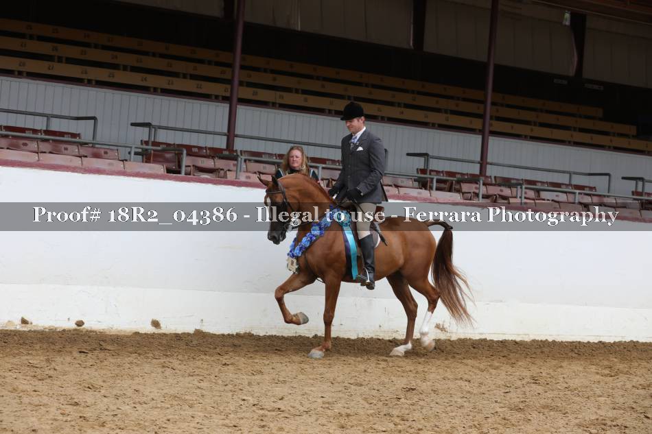 Proof 18R2_04386