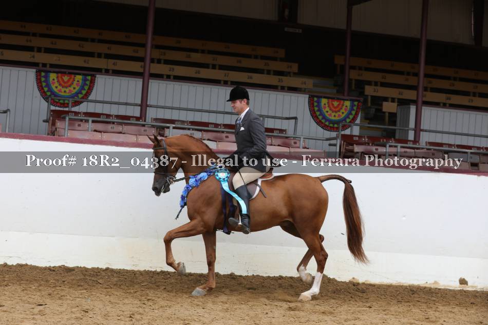 Proof 18R2_04387