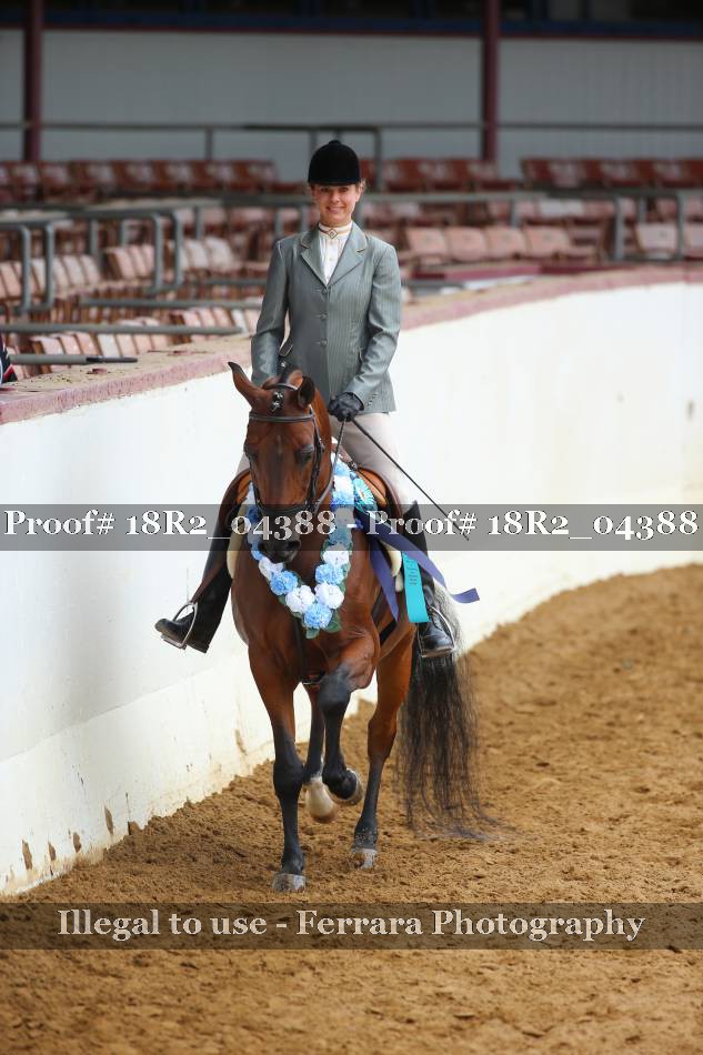 Proof 18R2_04388