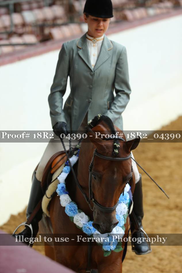 Proof 18R2_04390