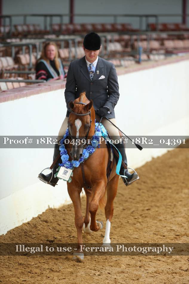 Proof 18R2_04391