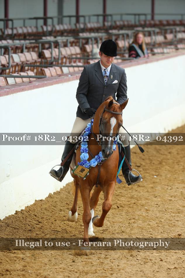 Proof 18R2_04392