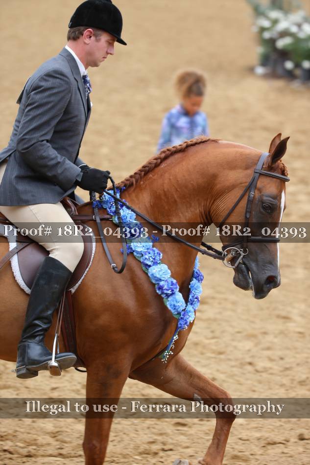 Proof 18R2_04393