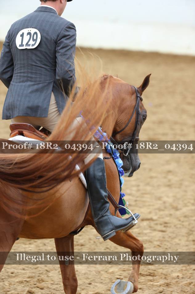 Proof 18R2_04394