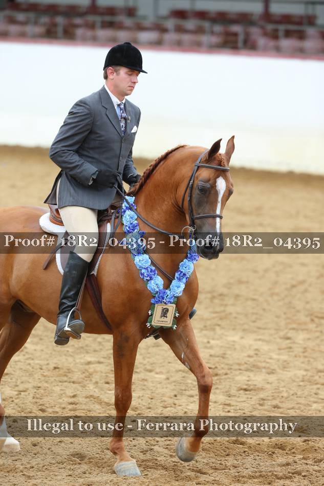 Proof 18R2_04395