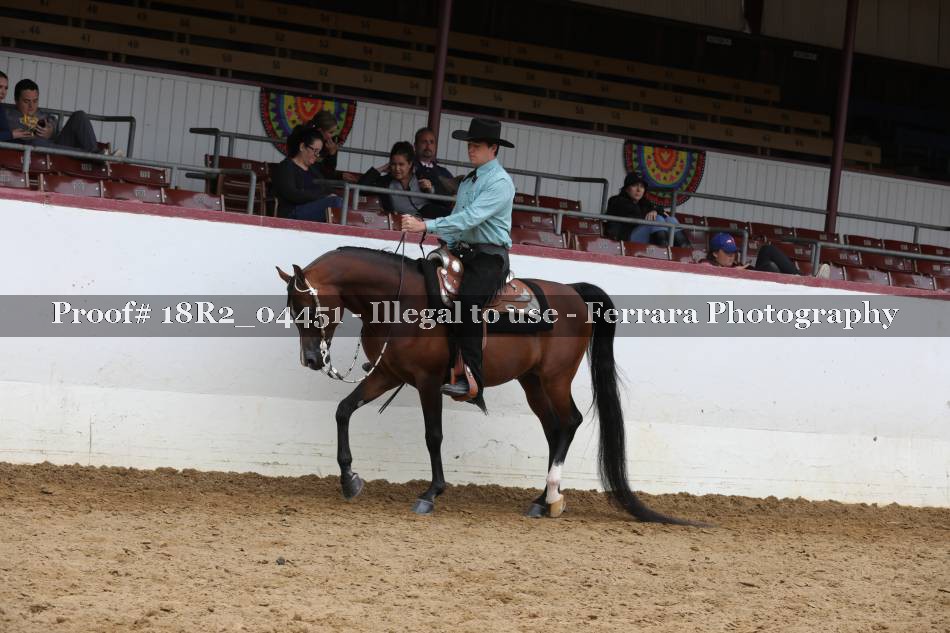 Proof 18R2_04451