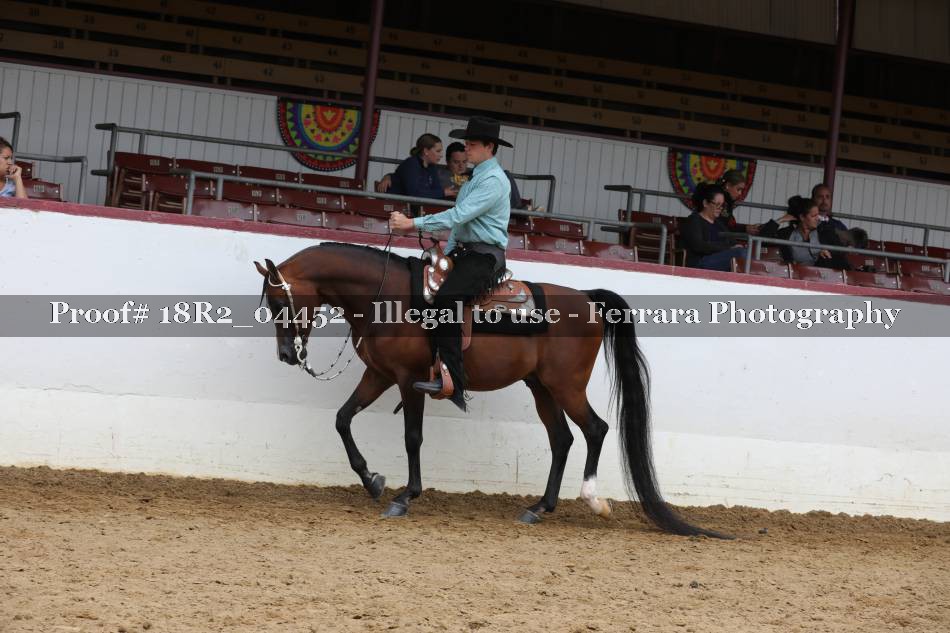 Proof 18R2_04452
