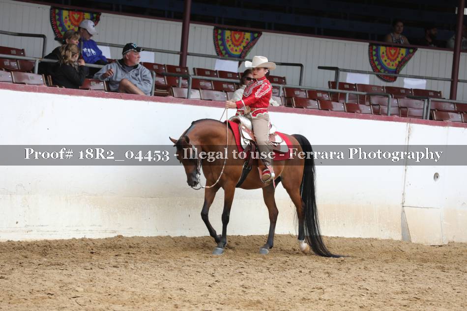 Proof 18R2_04453
