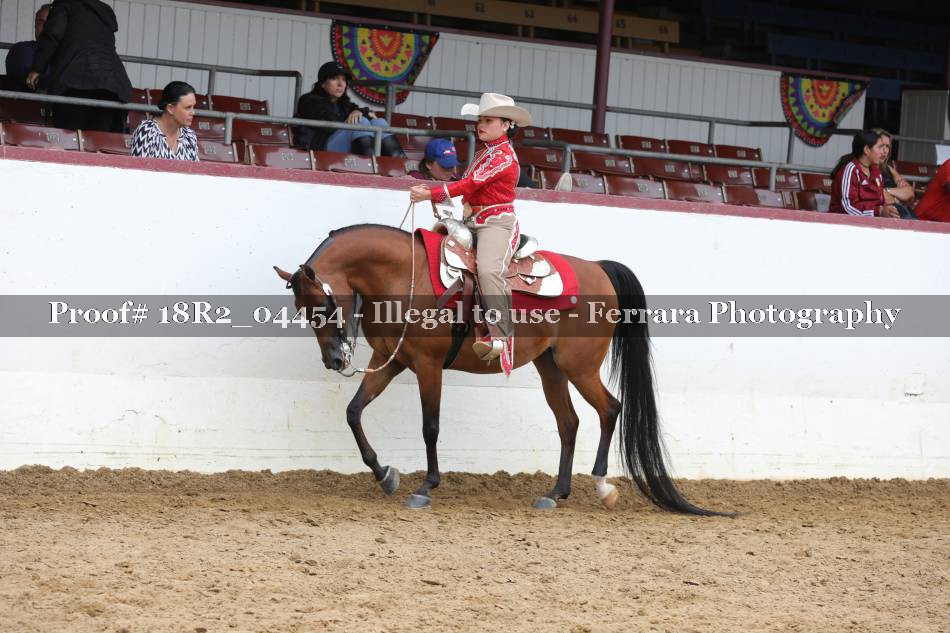 Proof 18R2_04454