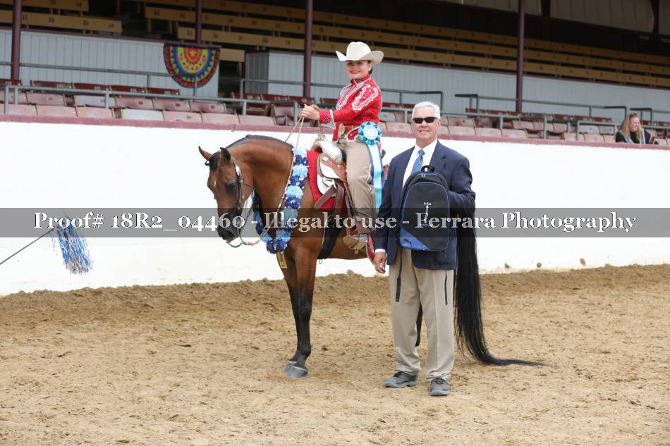 Proof 18R2_04460