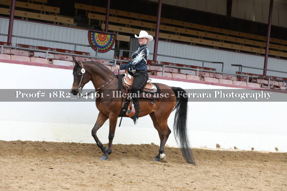 Proof 18R2_04461