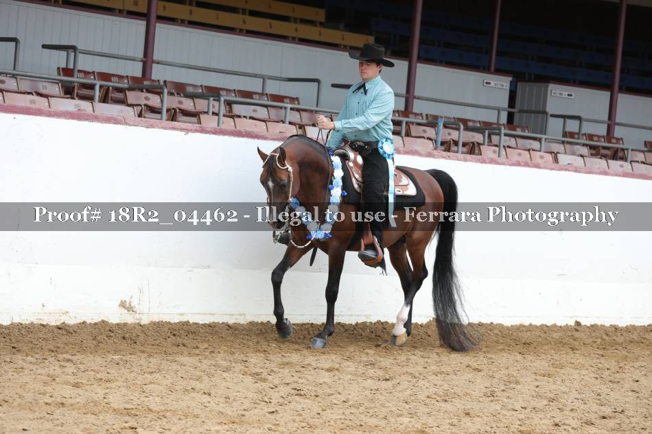 Proof 18R2_04462