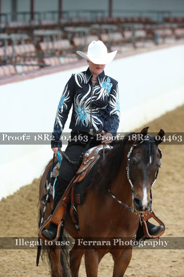 Proof 18R2_04463