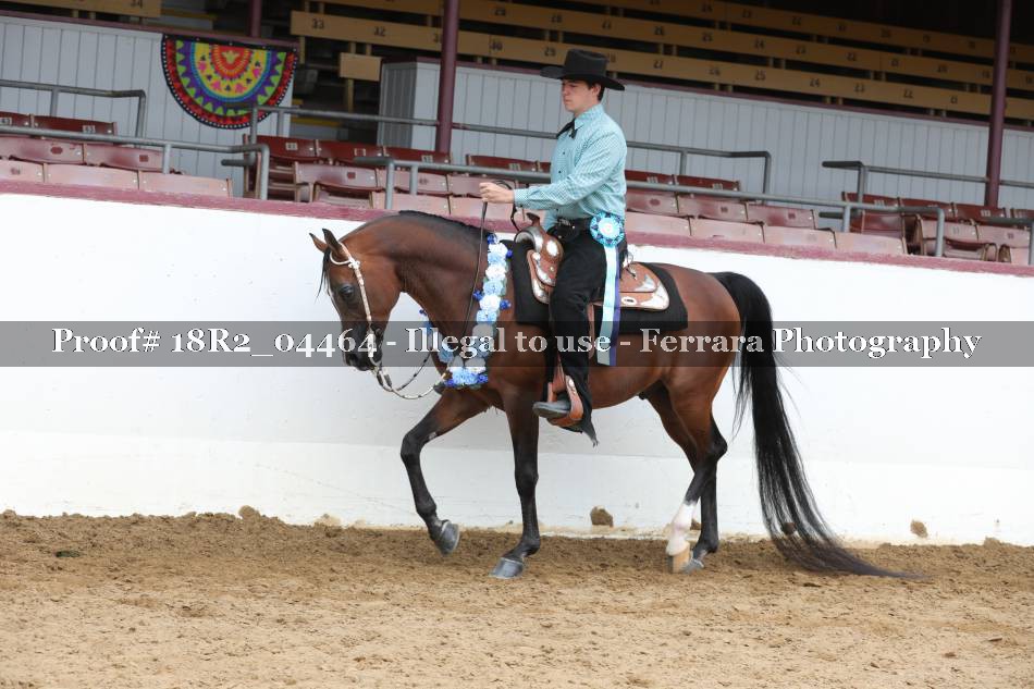 Proof 18R2_04464