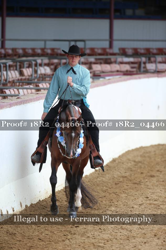 Proof 18R2_04466