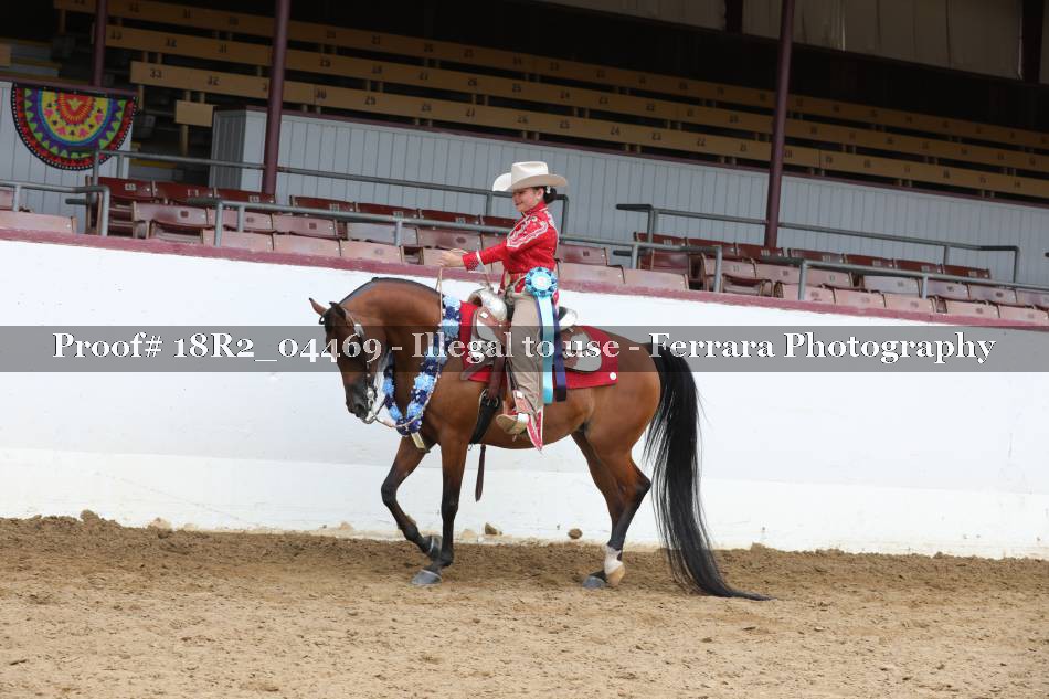 Proof 18R2_04469