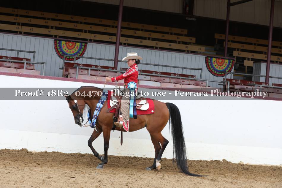 Proof 18R2_04470