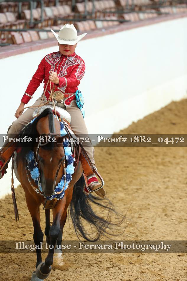 Proof 18R2_04472