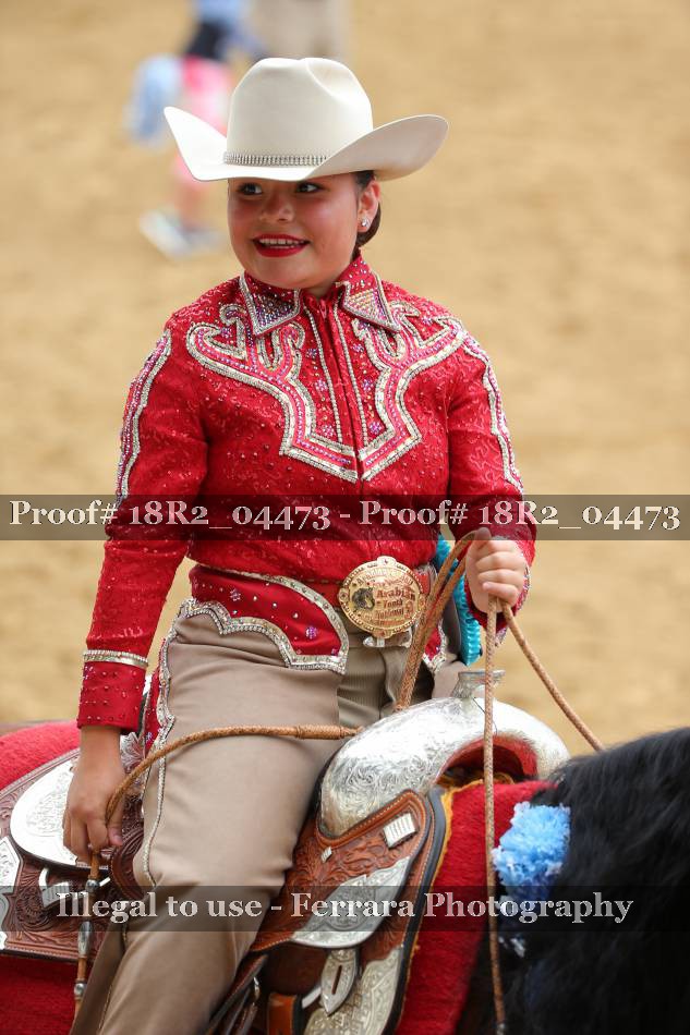 Proof 18R2_04473