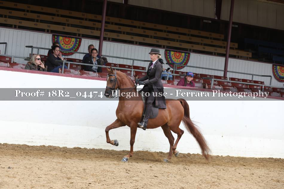 Proof 18R2_04474