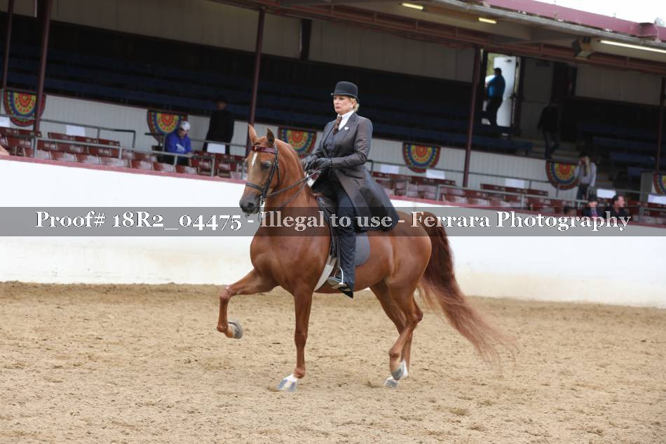 Proof 18R2_04475