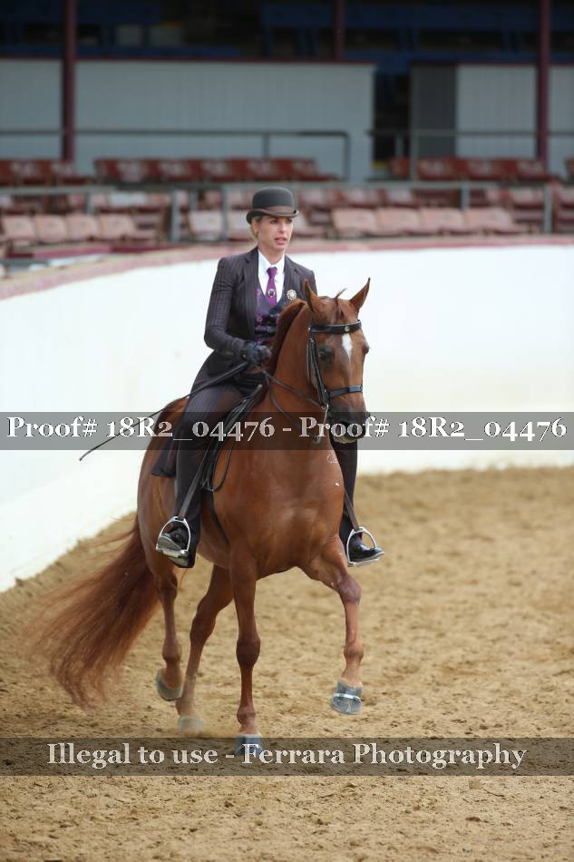 Proof 18R2_04476