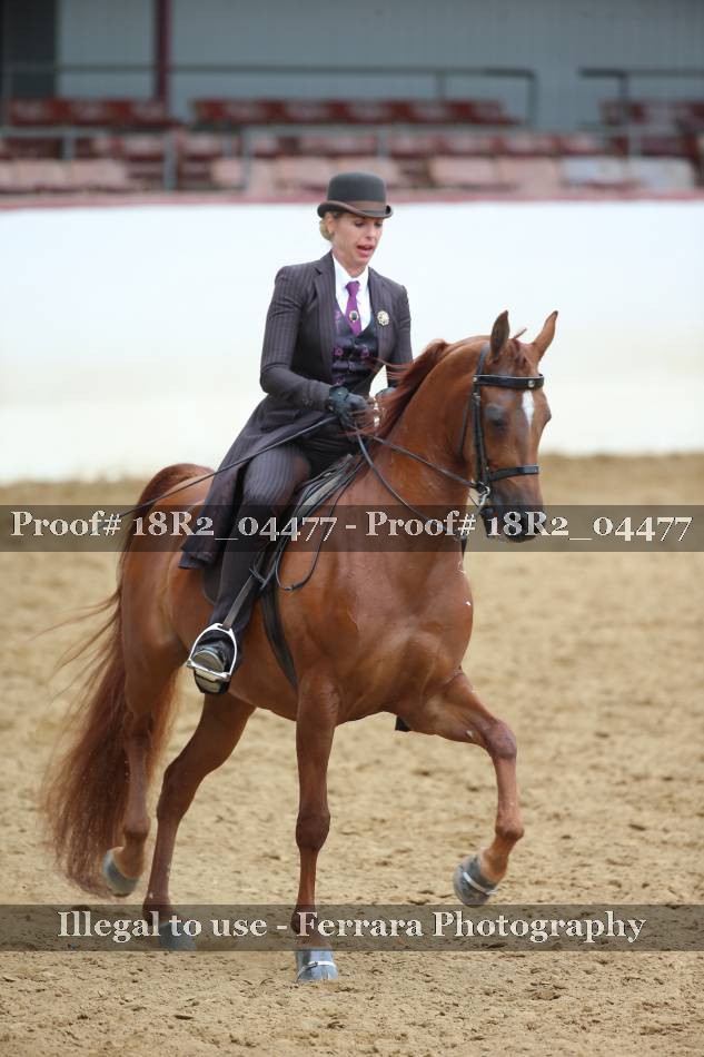 Proof 18R2_04477