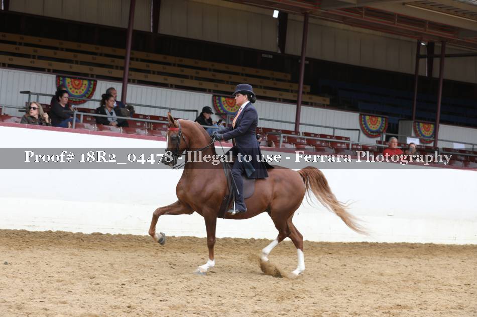 Proof 18R2_04478