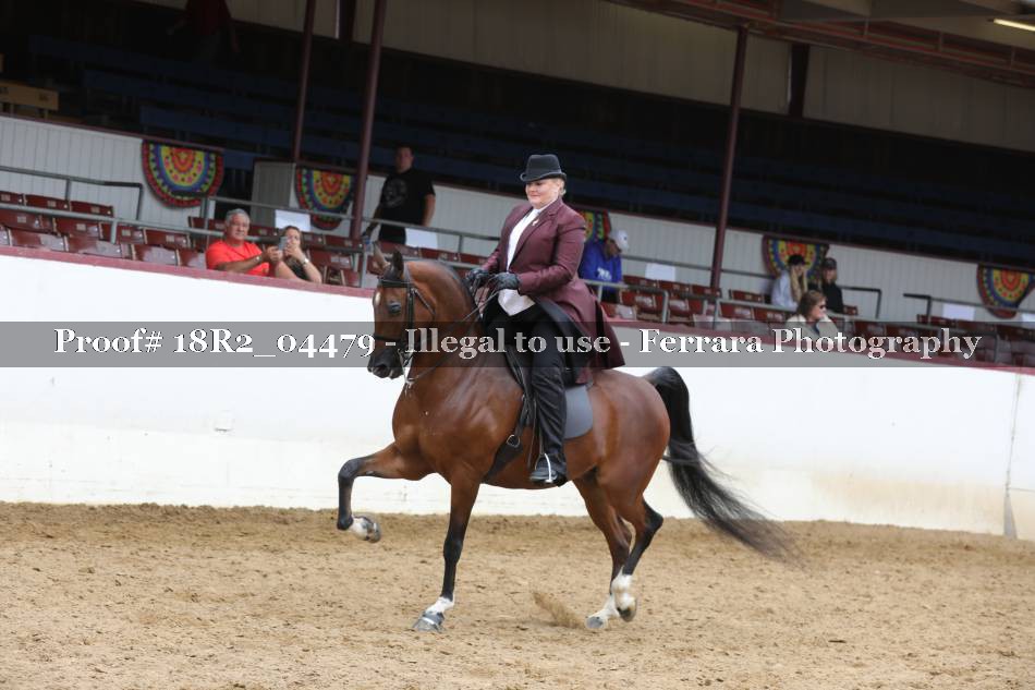Proof 18R2_04479