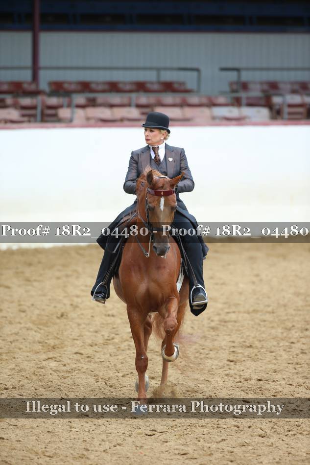 Proof 18R2_04480