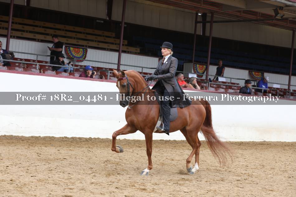 Proof 18R2_04481