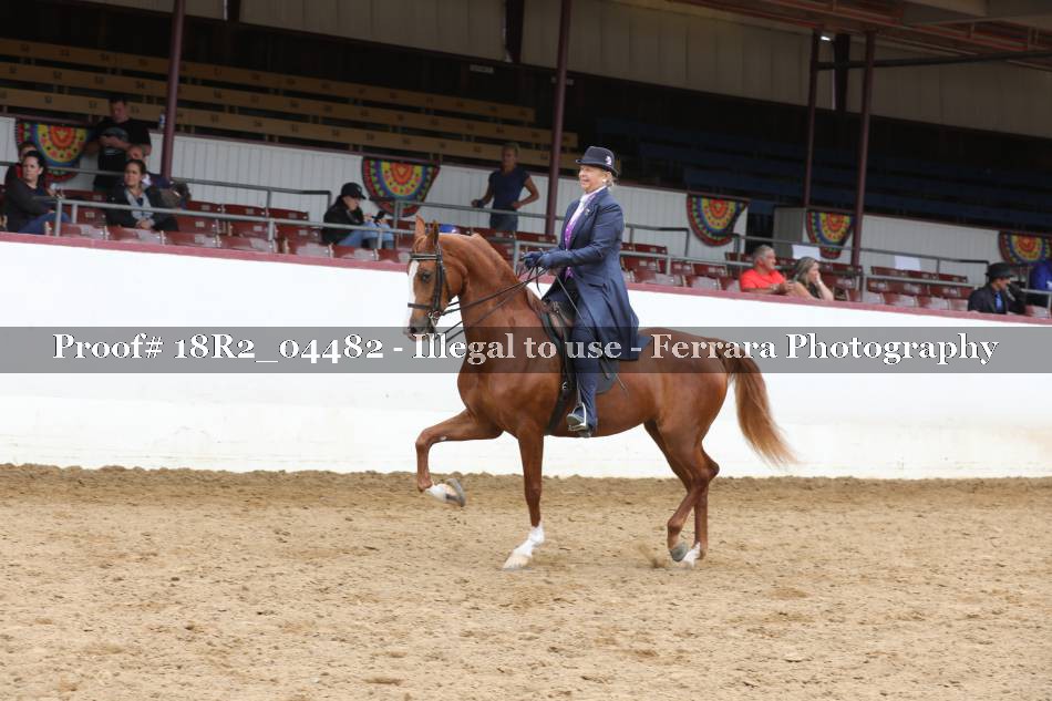 Proof 18R2_04482