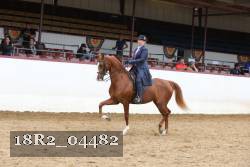 18R2_04482 proof