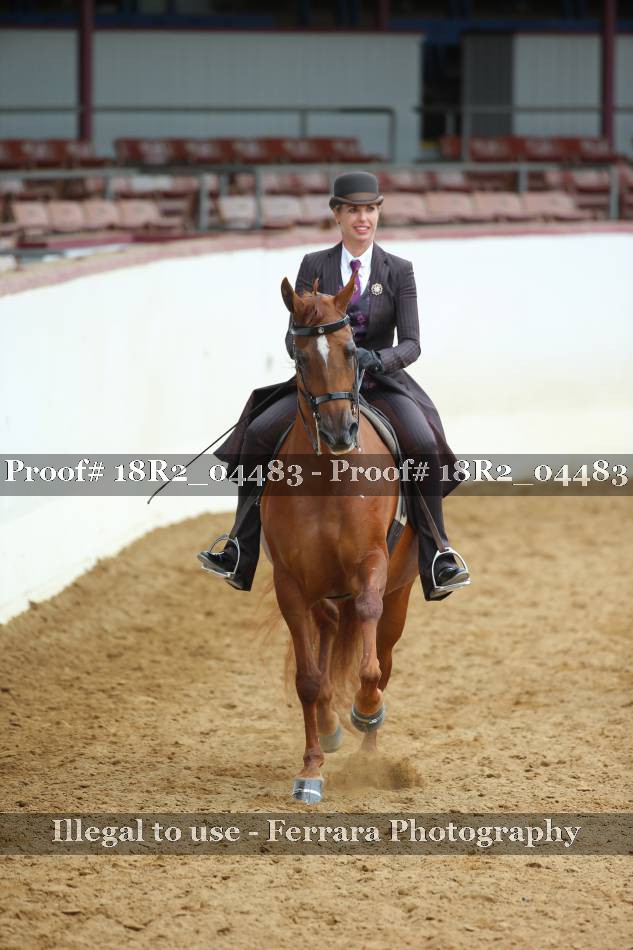 Proof 18R2_04483